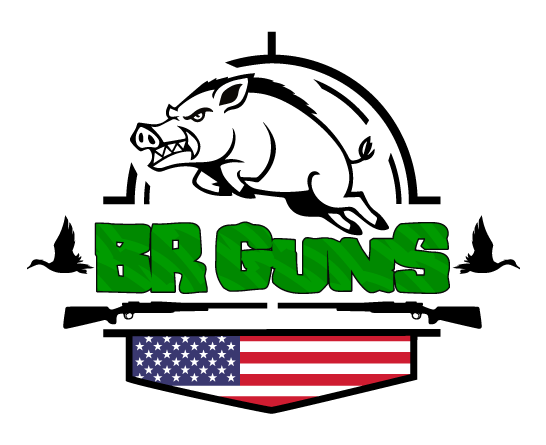 logo br guns site.png
